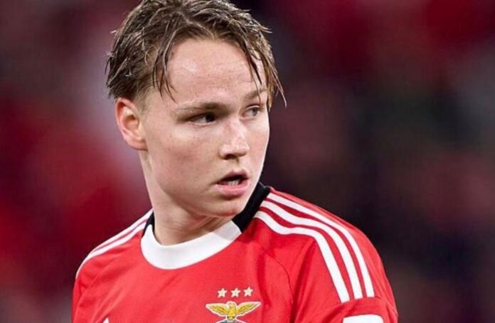 Andreas Schjelderup